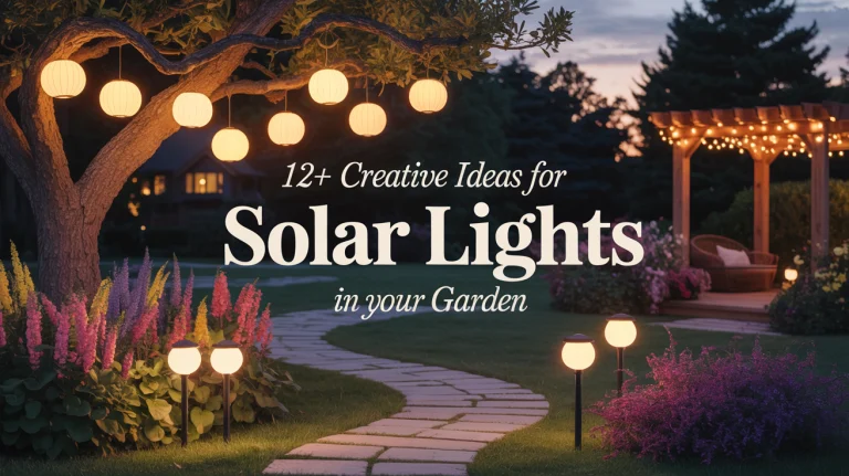 12+ Creative Ideas for Solar Lights in Your Garden
