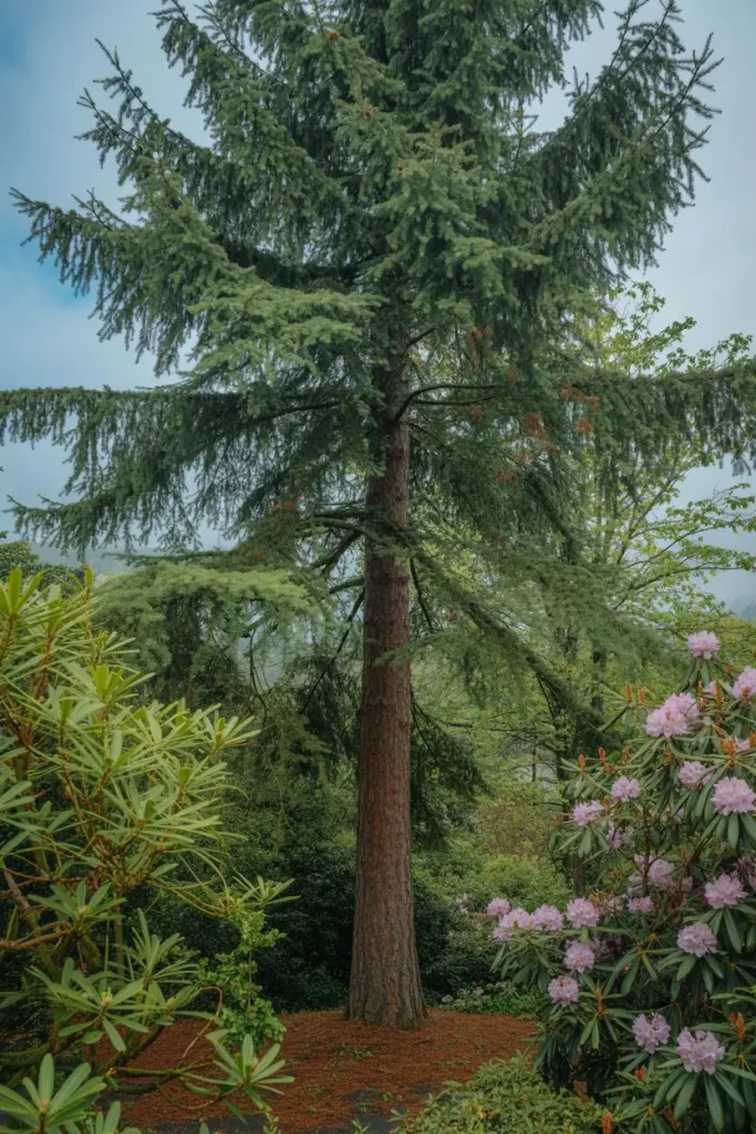 Evergreen Framework for Structure