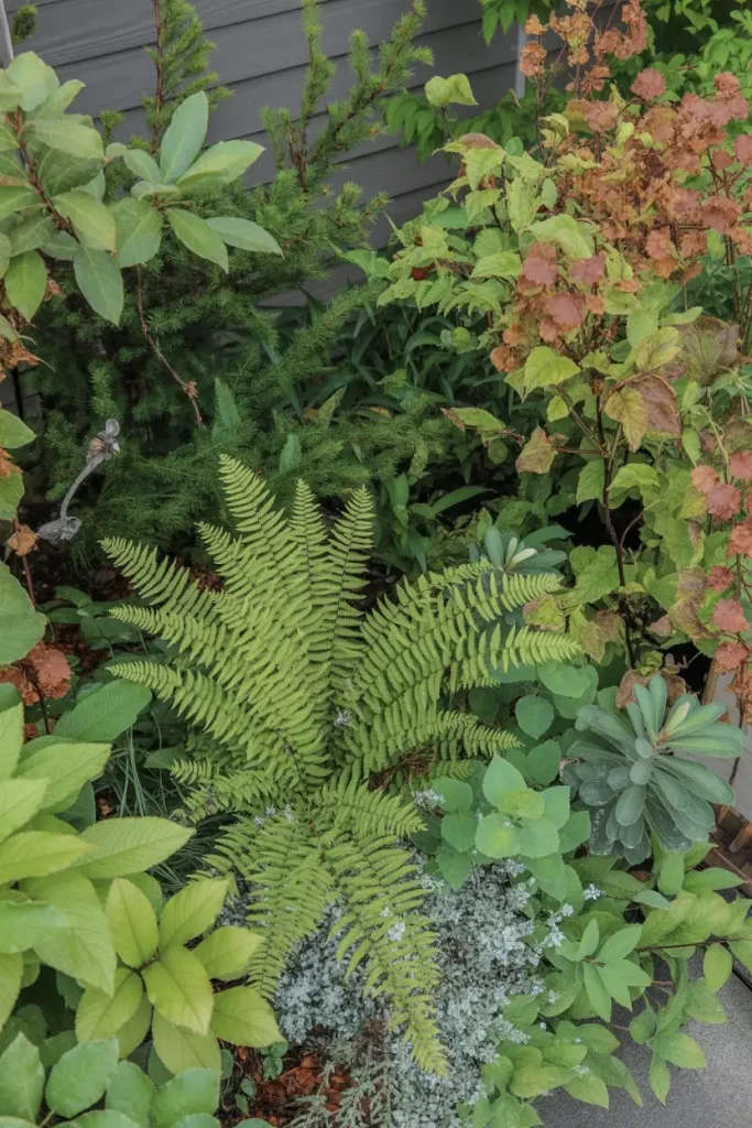 Native Plant Gardens for Year-Round Health