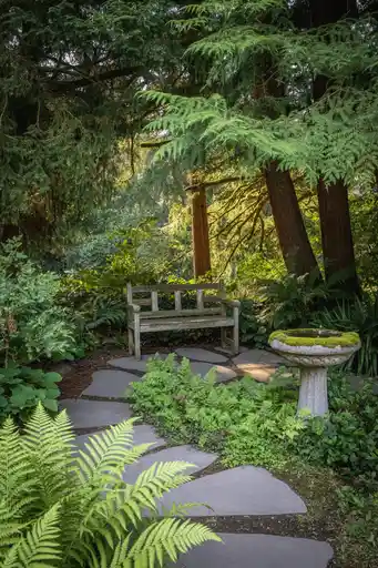 Pathways that Invite Exploration