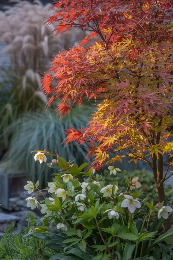Seasonal Foliage for Year-Round Drama